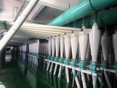 1000t/d wheat flour mill